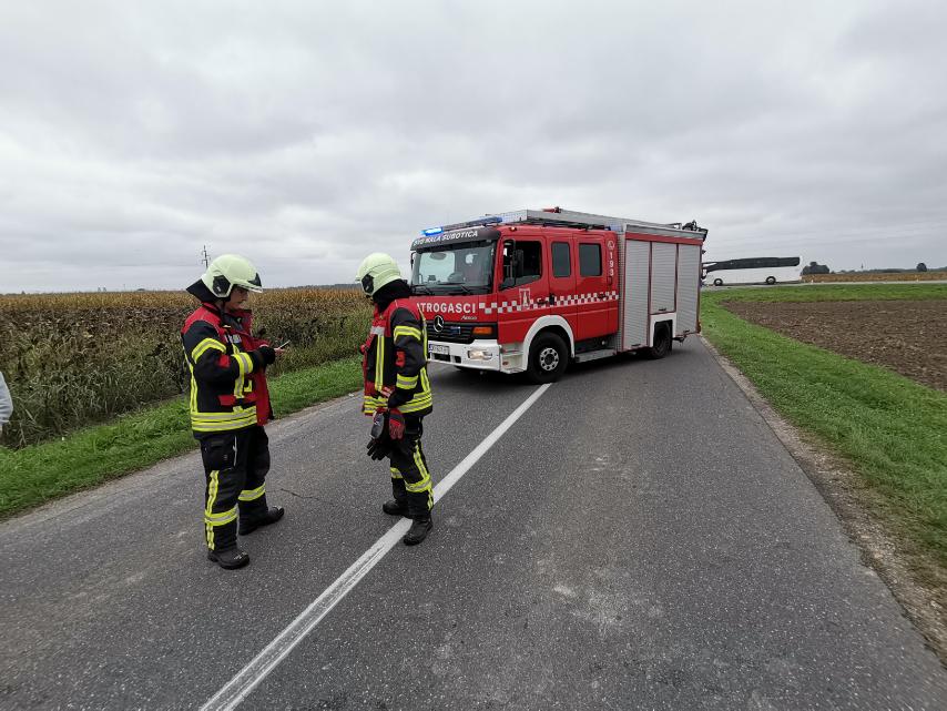 Nesreća Orehovica, Jadranka Palfi
