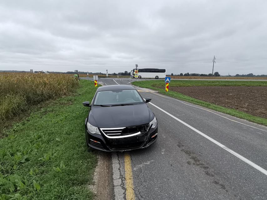 Nesreća Orehovica, Jadranka Palfi