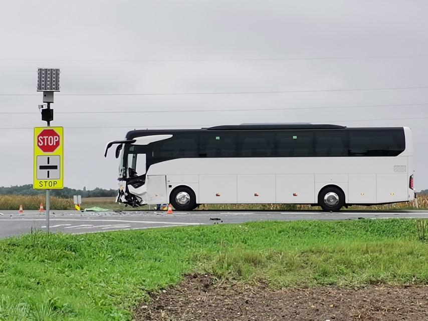 Nesreća Orehovica, Jadranka Palfi