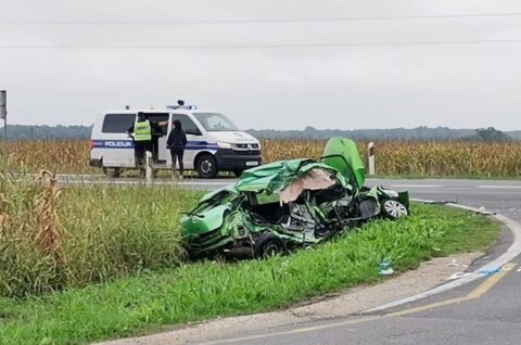 Nesreća Orehovica, Jadranka Palfi