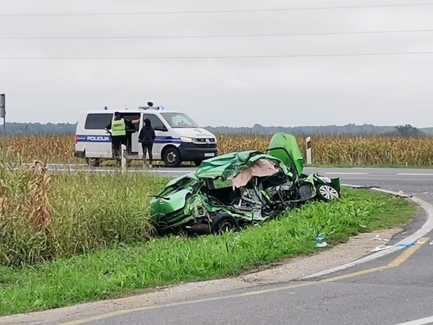 Nesreća Orehovica, Jadranka Palfi