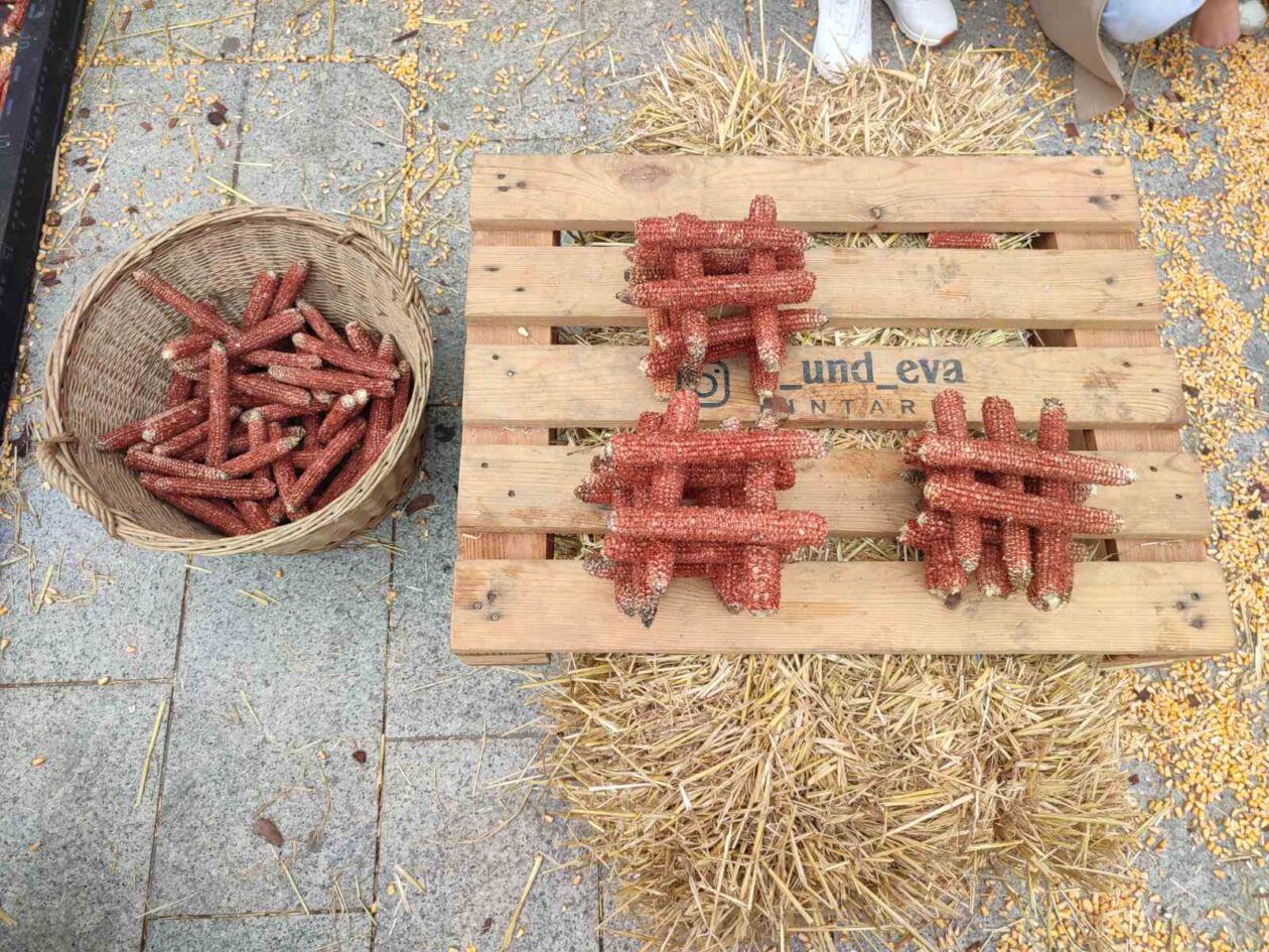 Čakovec weekend jesen