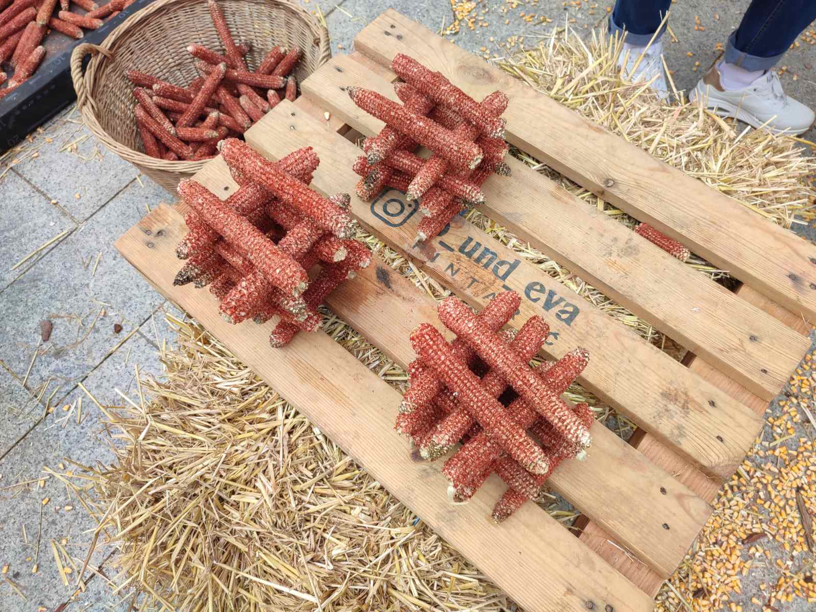 Čakovec weekend jesen