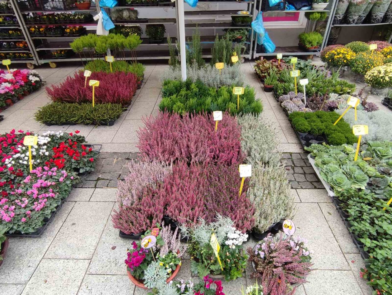 Čakovec weekend jesen