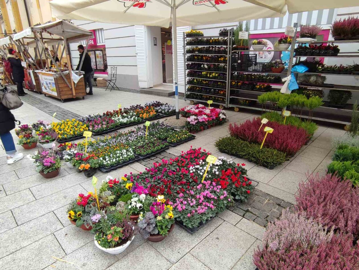 Čakovec weekend jesen