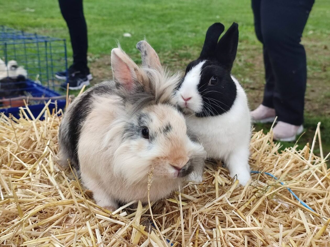 Čakovec weekend jesen