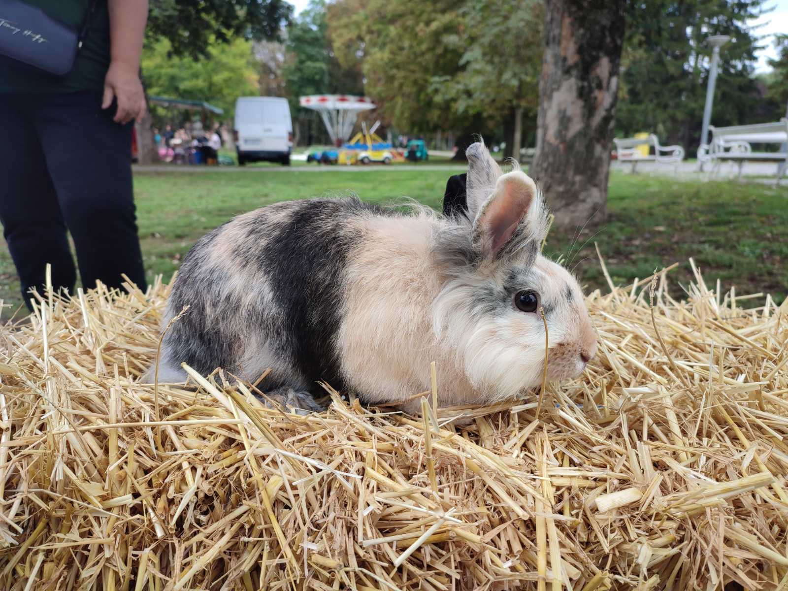Čakovec weekend jesen