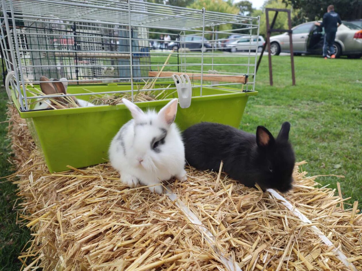 Čakovec weekend jesen