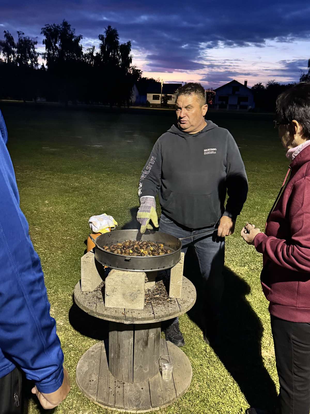 Celine kestenijada Celine kestenijada