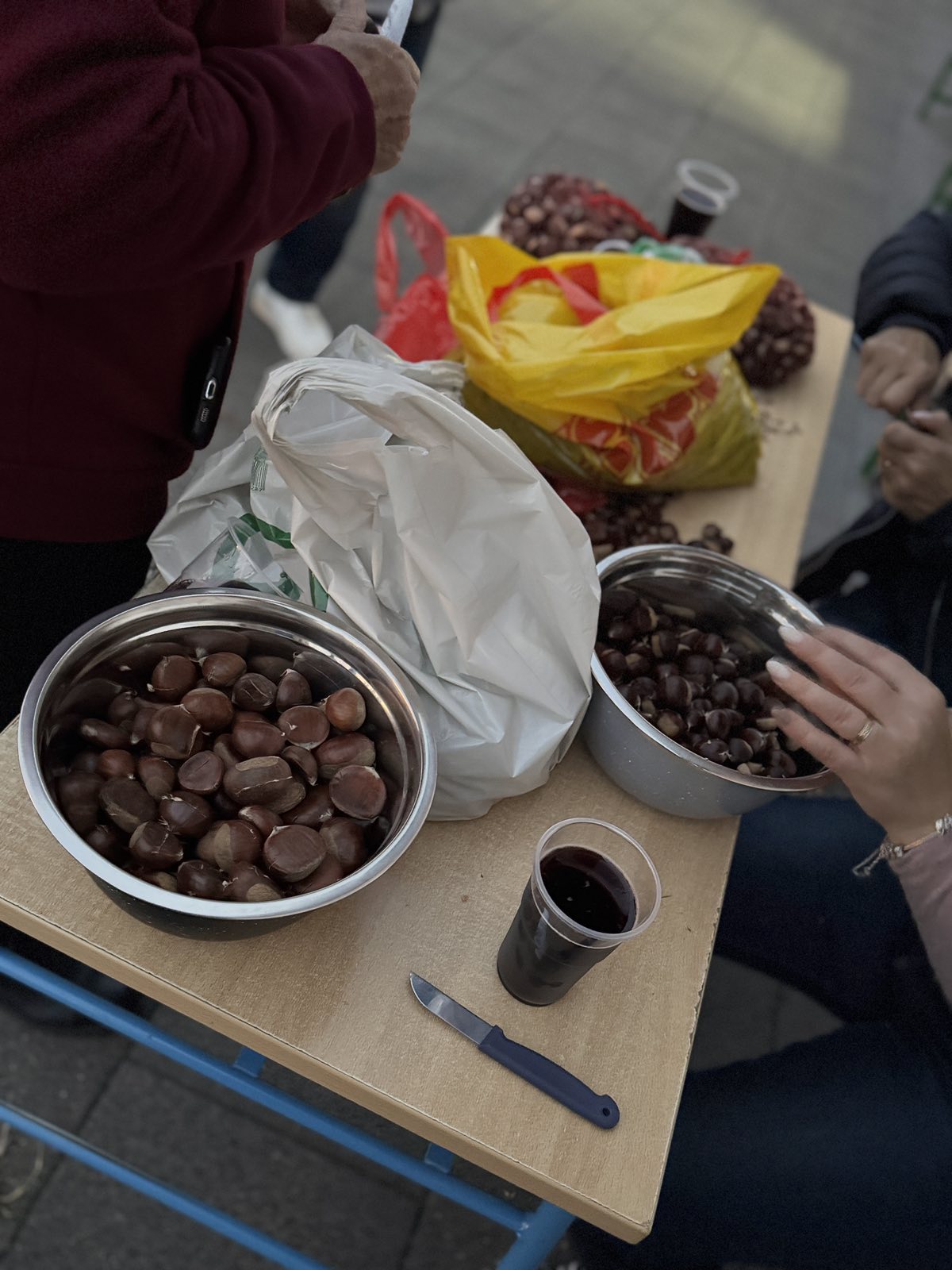 Celine kestenijada Celine kestenijada