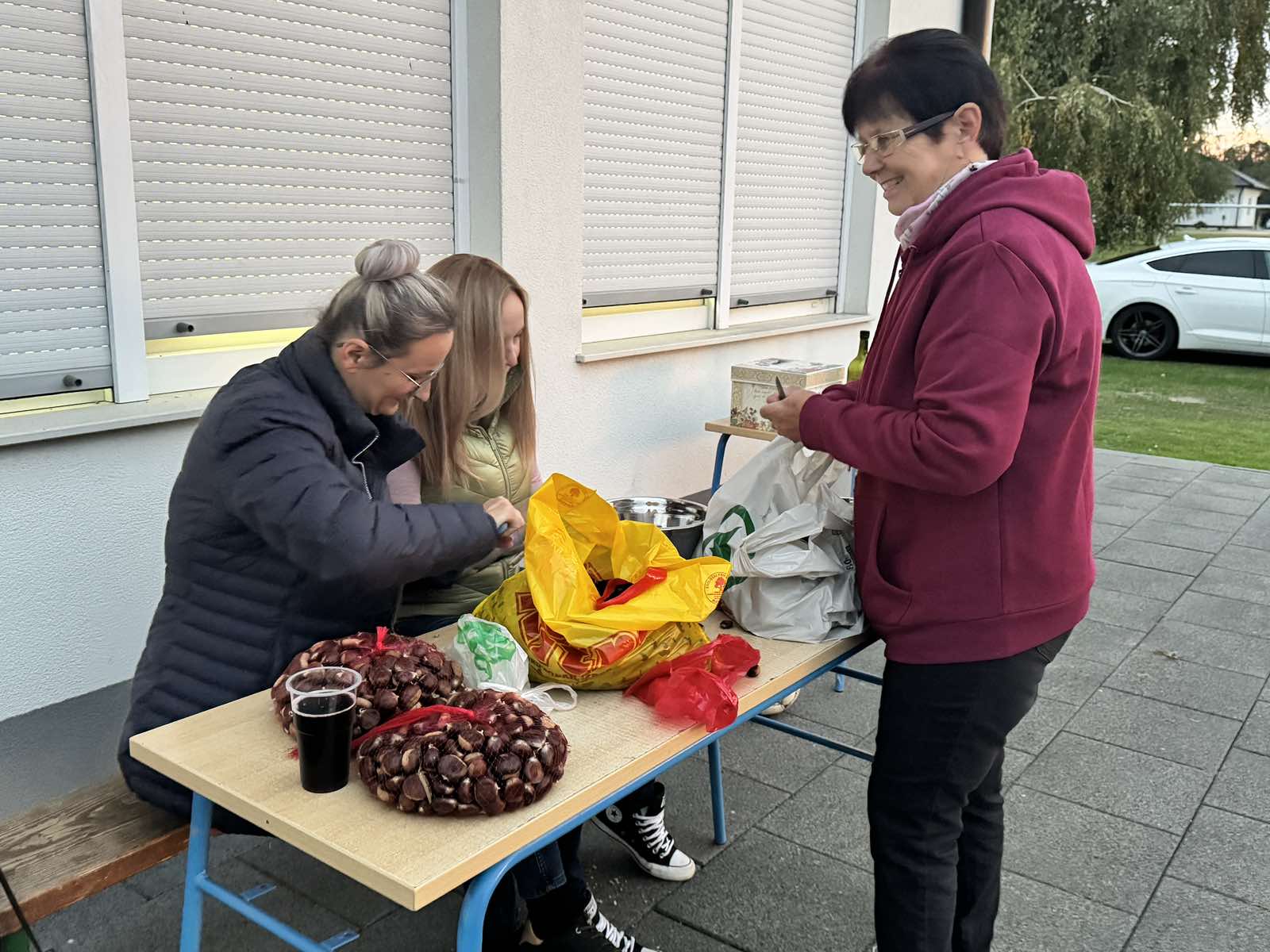 Celine kestenijada Celine kestenijada