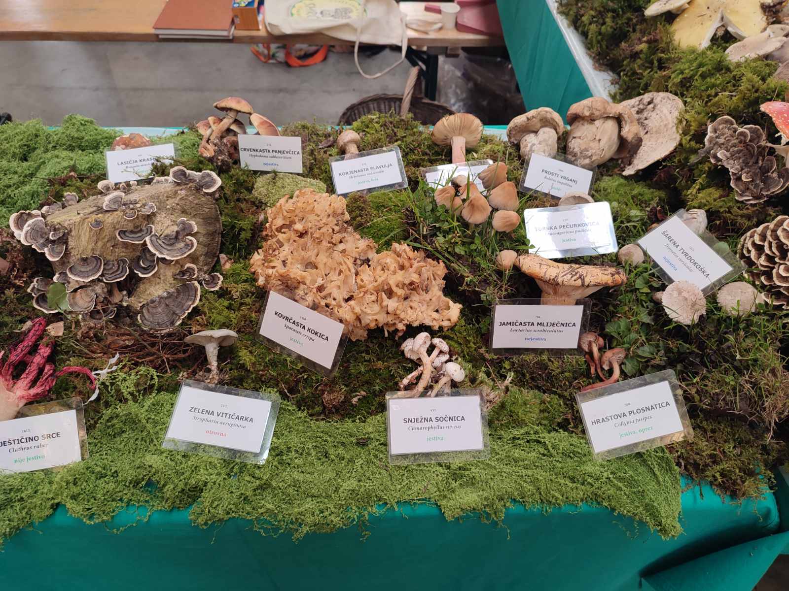 Dani zahvalnosti Nedelišće