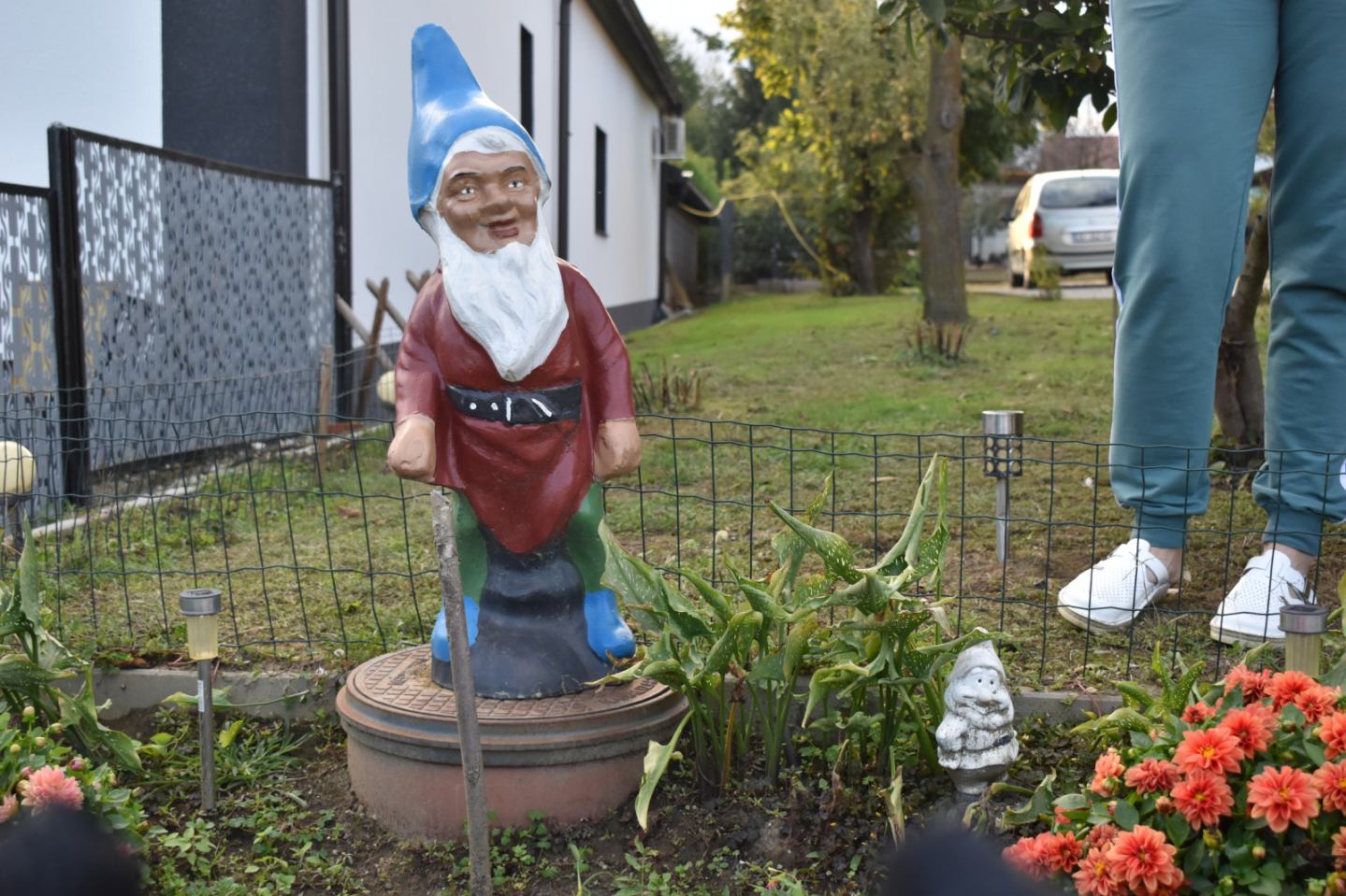 Mesarić patuljci Peklenica puran