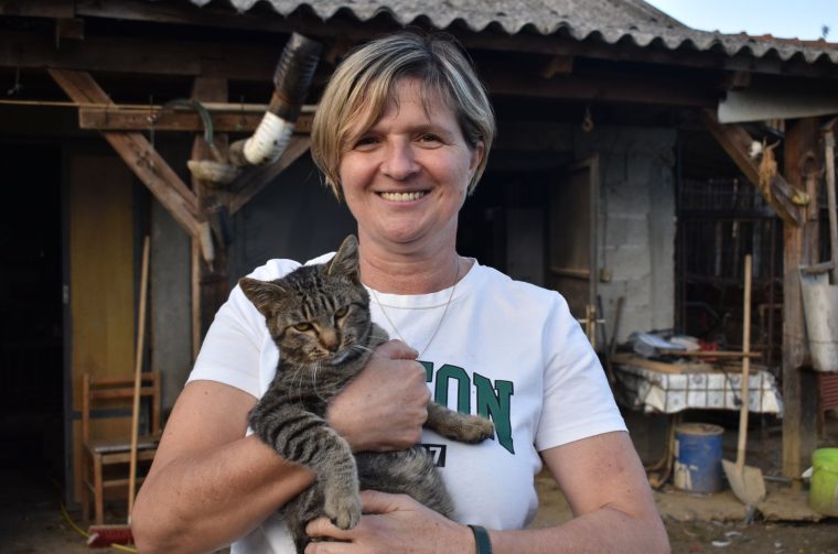 Mesarić patuljci Peklenica