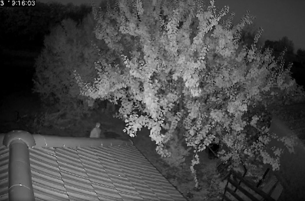 krađa donja dubrava