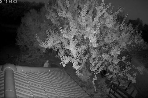 krađa donja dubrava