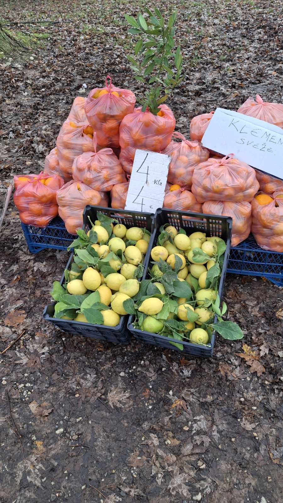 viber_slika_2025-12-10_09-51-45-141 viber_slika_2025-12-10_09-51-45-141