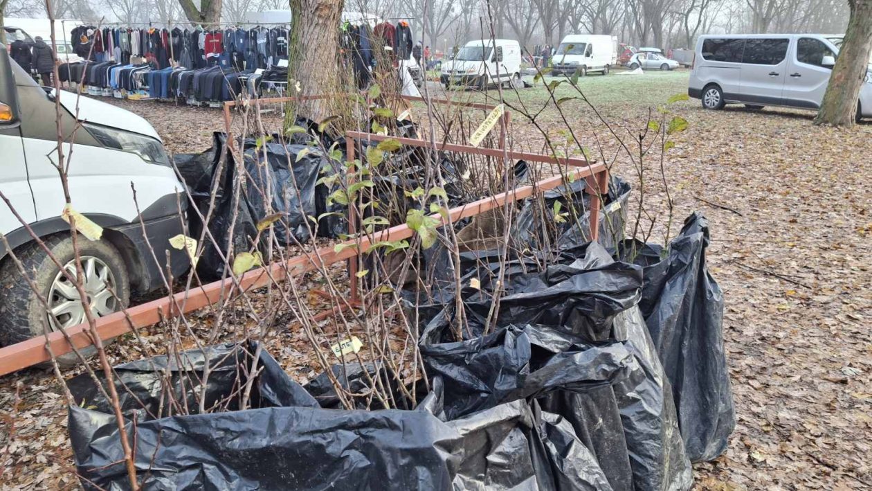 viber_slika_2025-12-10_09-51-46-350