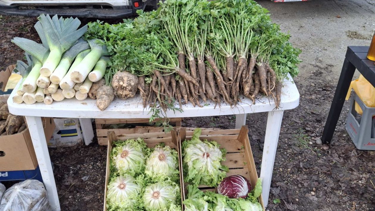 viber_slika_2025-12-10_09-51-46-879