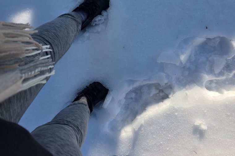 viber_slika_2026-01-14_10-52-41-541 viber_slika_2026-01-14_10-52-41-541