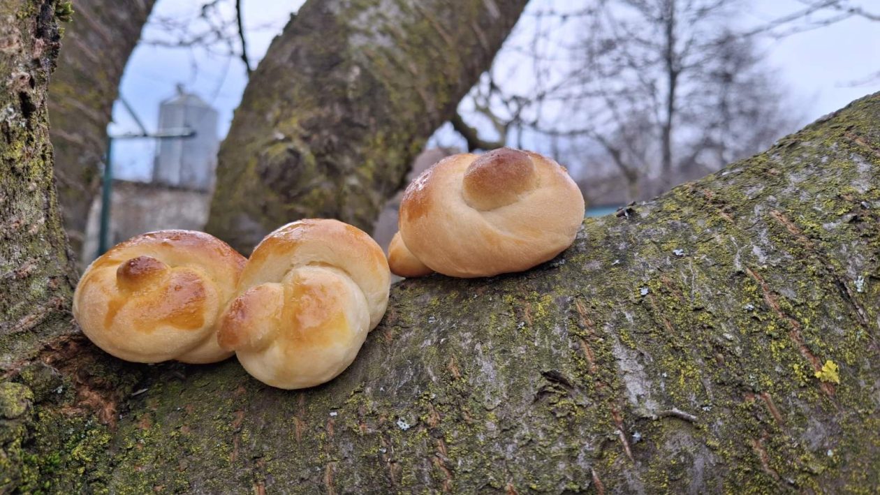 viber_slika_2026-02-14_11-28-59-534