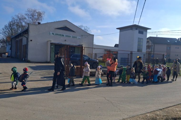 DV Pinokio DV Pinokio