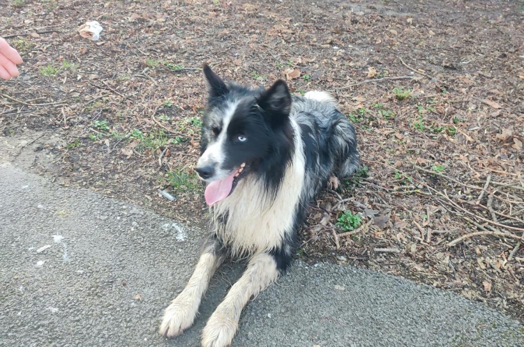 viber_slika_2026-03-03_09-01-07-725 22 viber_slika_2026-03-03_09-01-07-725 22