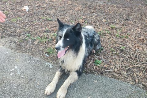 viber_slika_2026-03-03_09-01-07-725 22