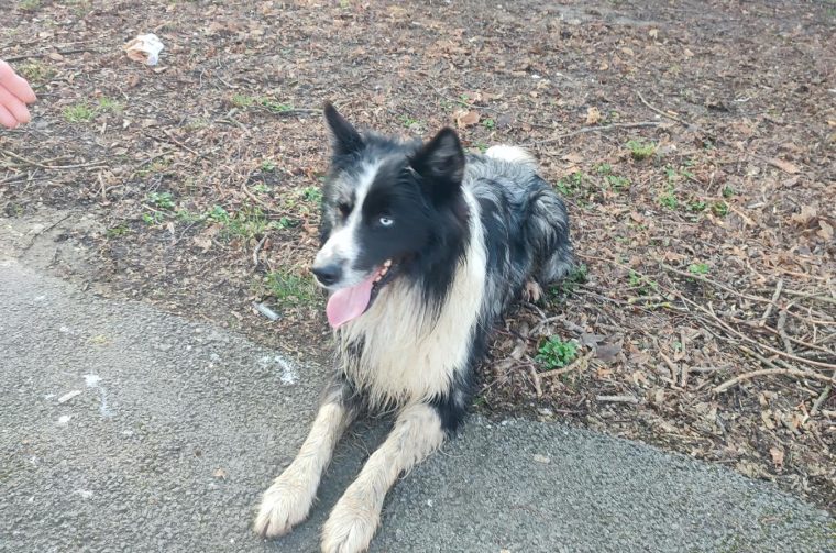 viber_slika_2026-03-03_09-01-07-725 22 viber_slika_2026-03-03_09-01-07-725 22