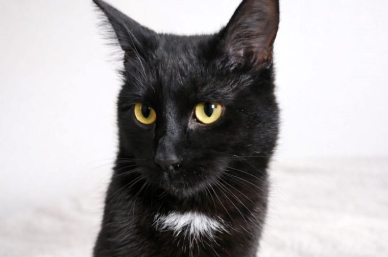 viber_slika_2026-03-19_16-49-45-081 22