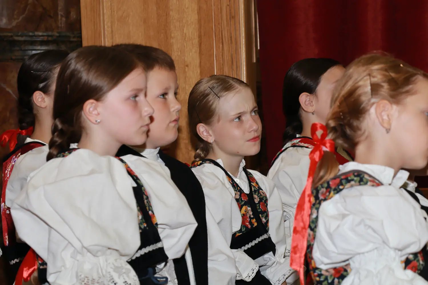 vidovo,donji vidovec,blagdan (13) vidovo,donji vidovec,blagdan (13)