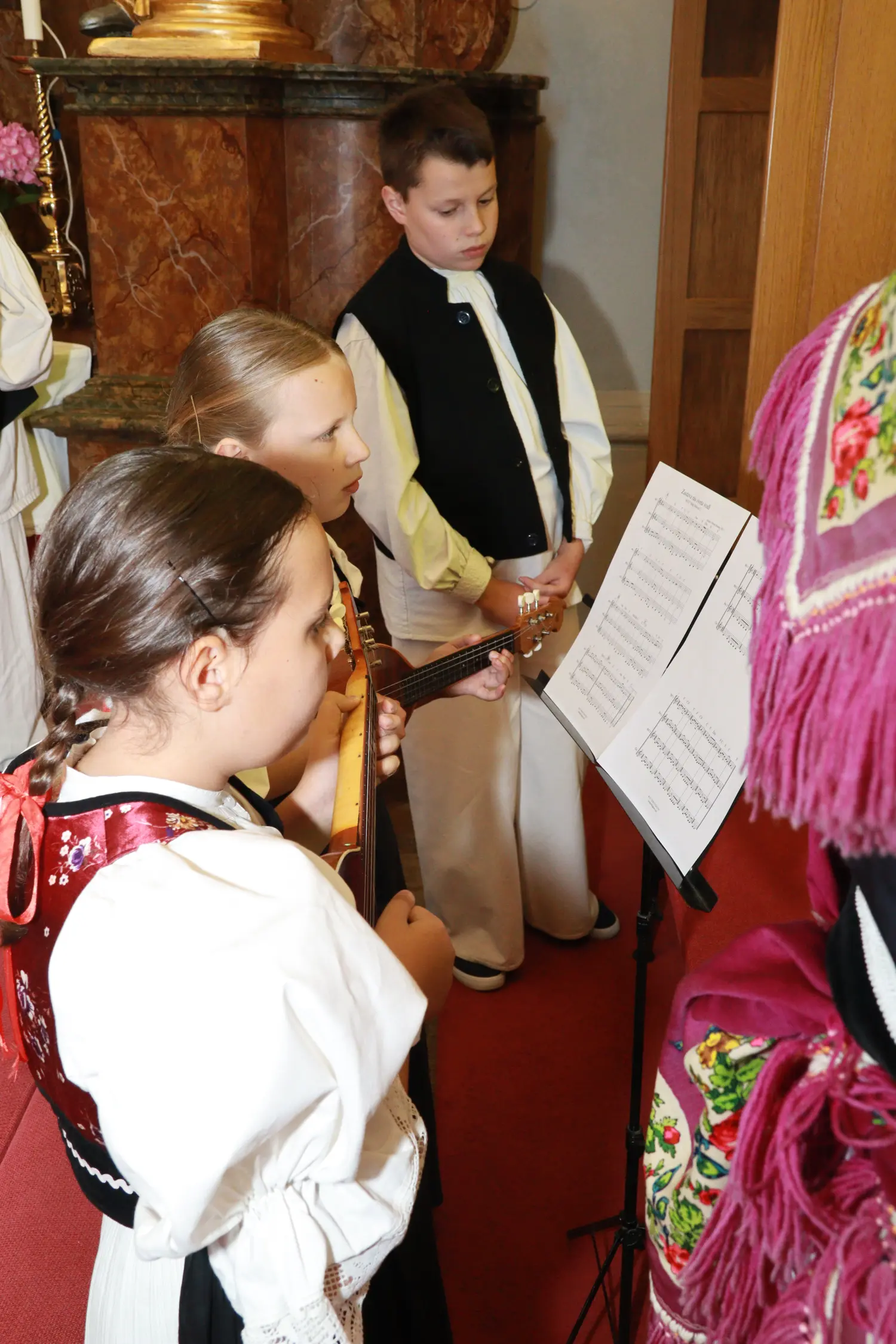 vidovo,donji vidovec,blagdan (24) vidovo,donji vidovec,blagdan (24)