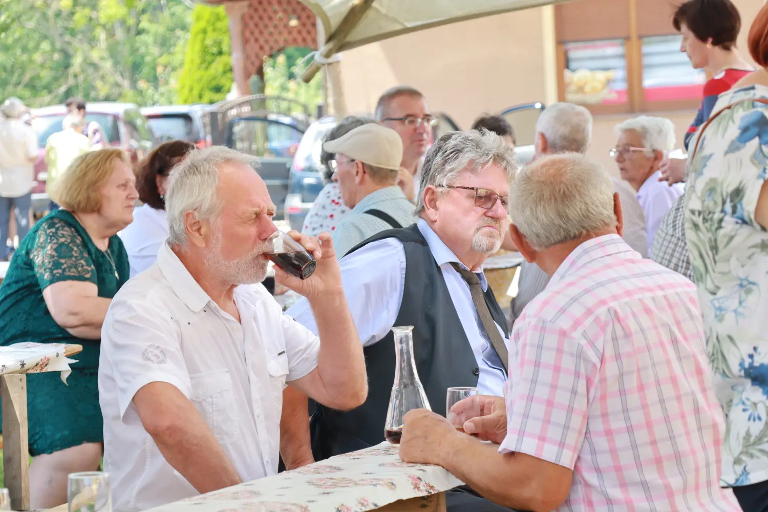 vidovo,donji vidovec,blagdan (38) vidovo,donji vidovec,blagdan (38)