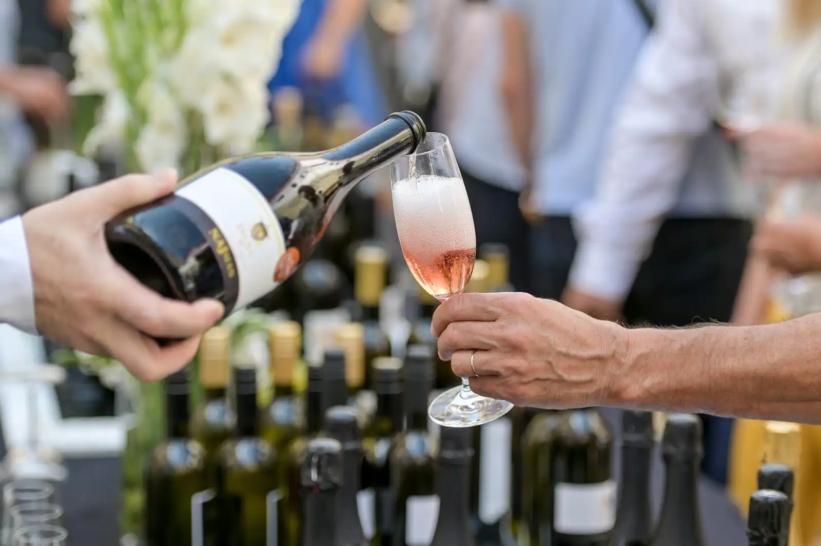 vina_decanter_ilustracija (2) vina_decanter_ilustracija (2)