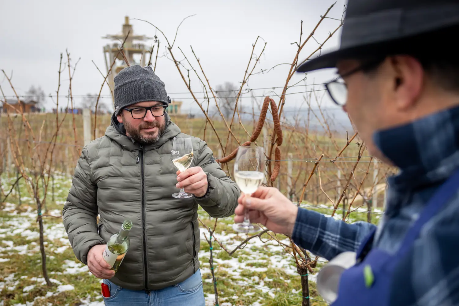 vincekov pohod 2025, vincekovo (100) vincekov pohod 2025, vincekovo (100)