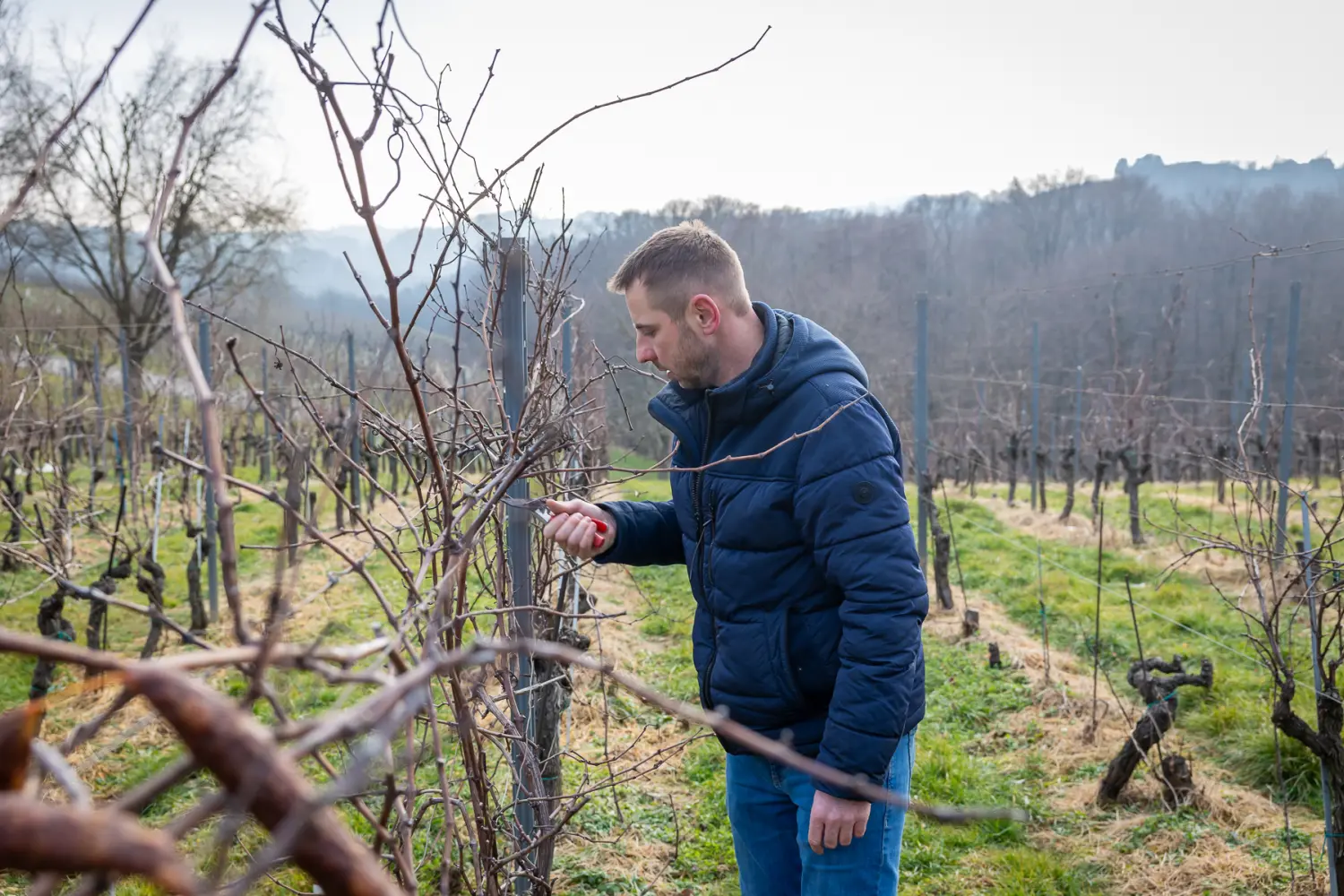 vincekov pohod 2025, vincekovo (14) vincekov pohod 2025, vincekovo (14)