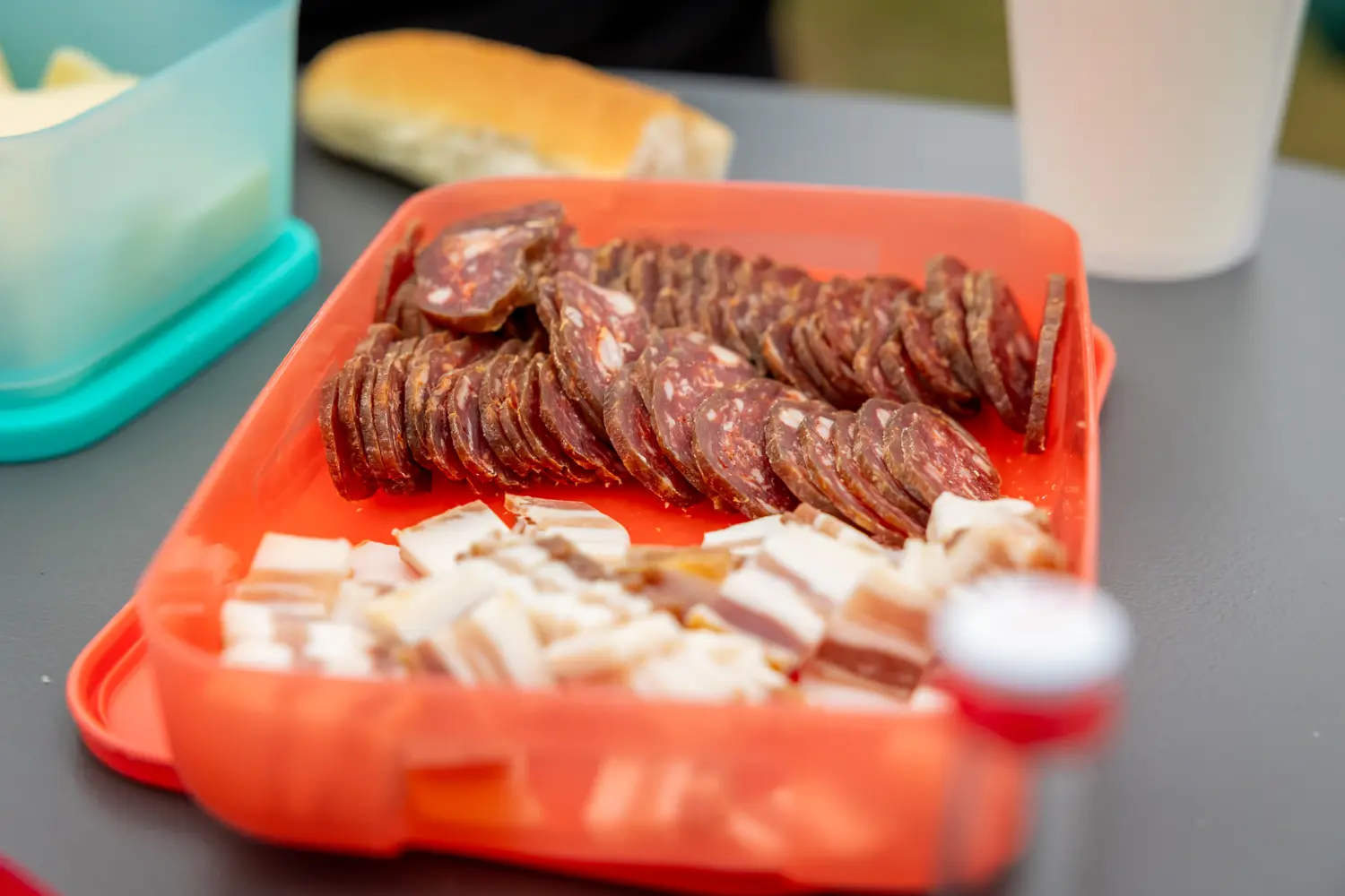 vincekov pohod 2025, vincekovo (34) vincekov pohod 2025, vincekovo (34)