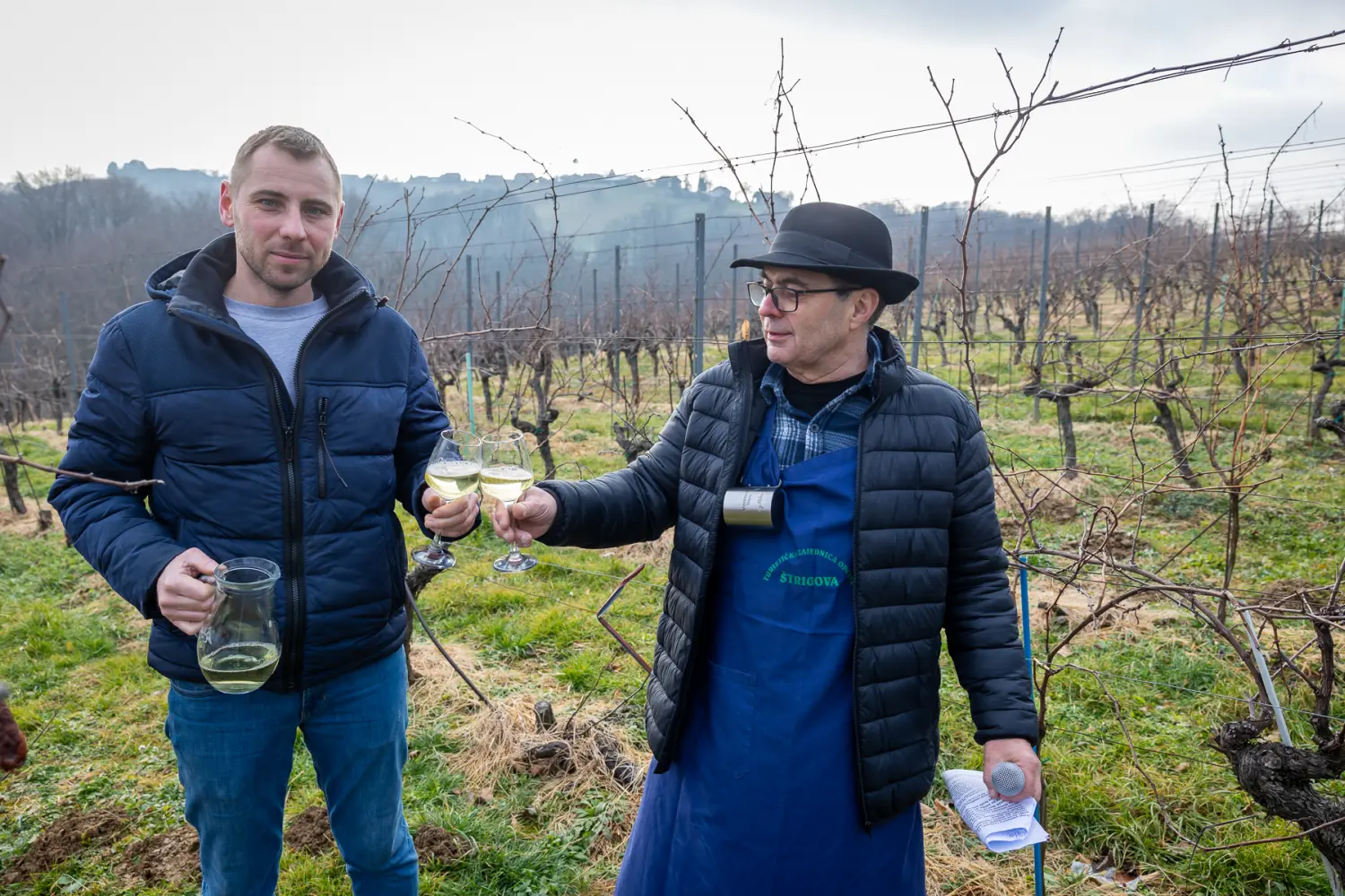 vincekov pohod 2025, vincekovo (40) vincekov pohod 2025, vincekovo (40)