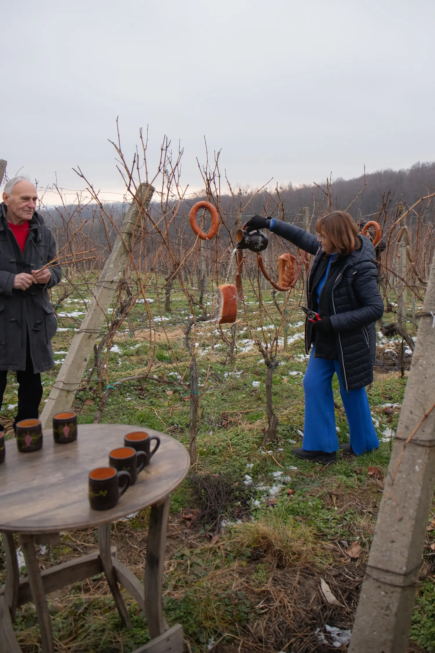 vincekov pohod 2025, vincekovo (8) vincekov pohod 2025, vincekovo (8)