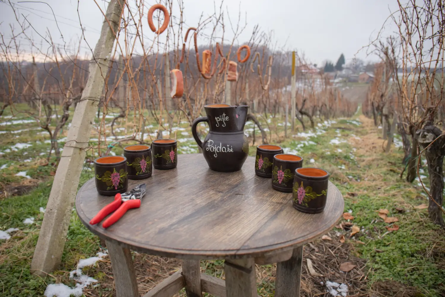 vincekov pohod 2025, vincekovo (89) vincekov pohod 2025, vincekovo (89)