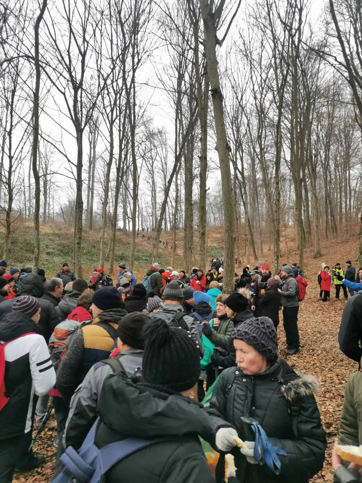 vincekov pohod PD Bundek 2025 (10) vincekov pohod PD Bundek 2025 (10)