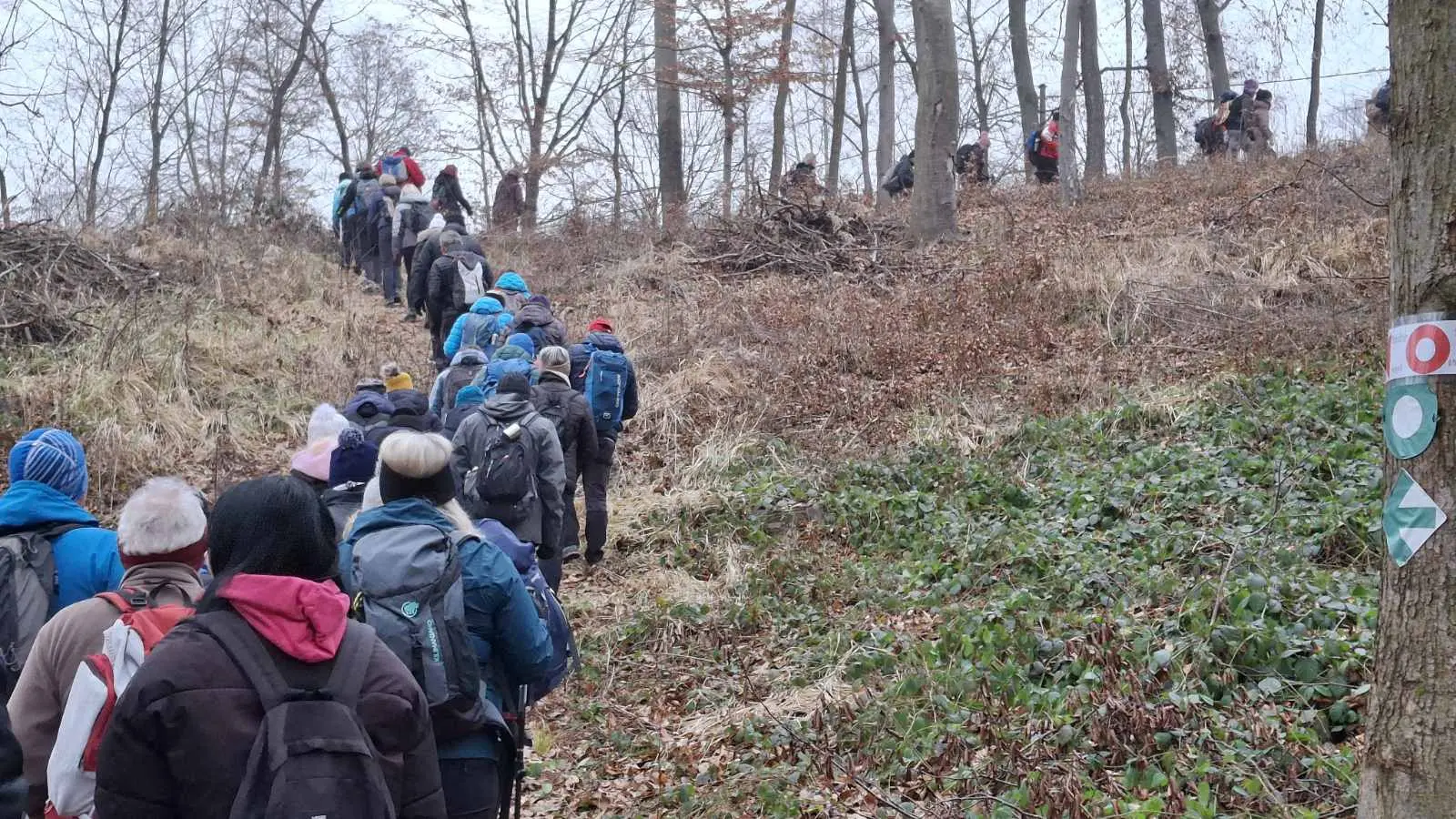 vincekov pohod PD Bundek 2025 (11) vincekov pohod PD Bundek 2025 (11)