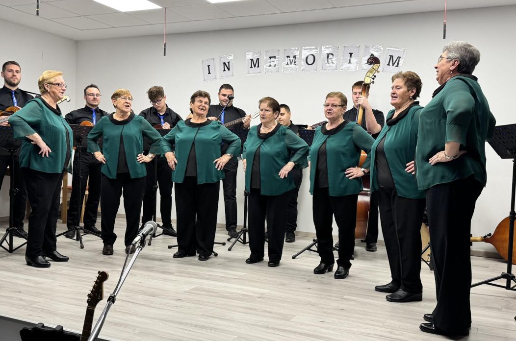 vino i gitare Sivica (8)