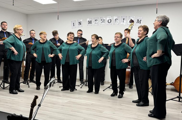 vino i gitare Sivica (8)