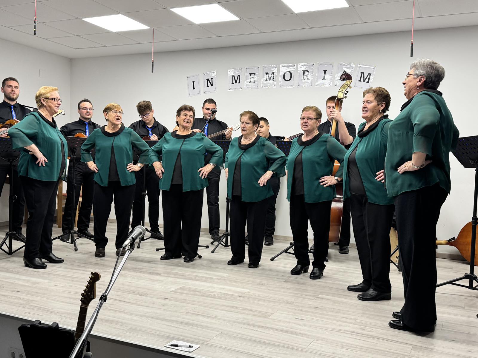 vino i gitare Sivica (8)