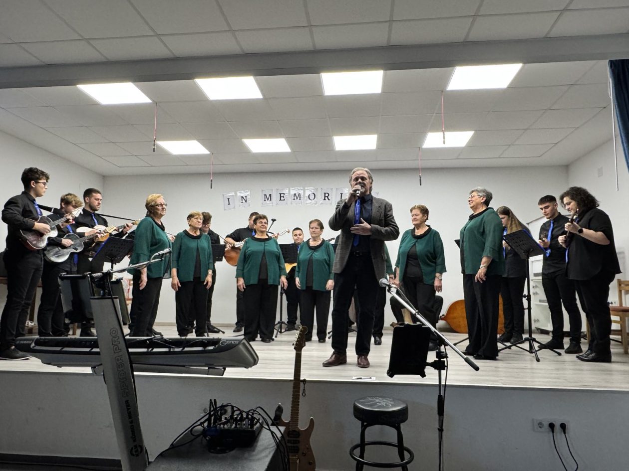 vino i gitare Sivica (9)