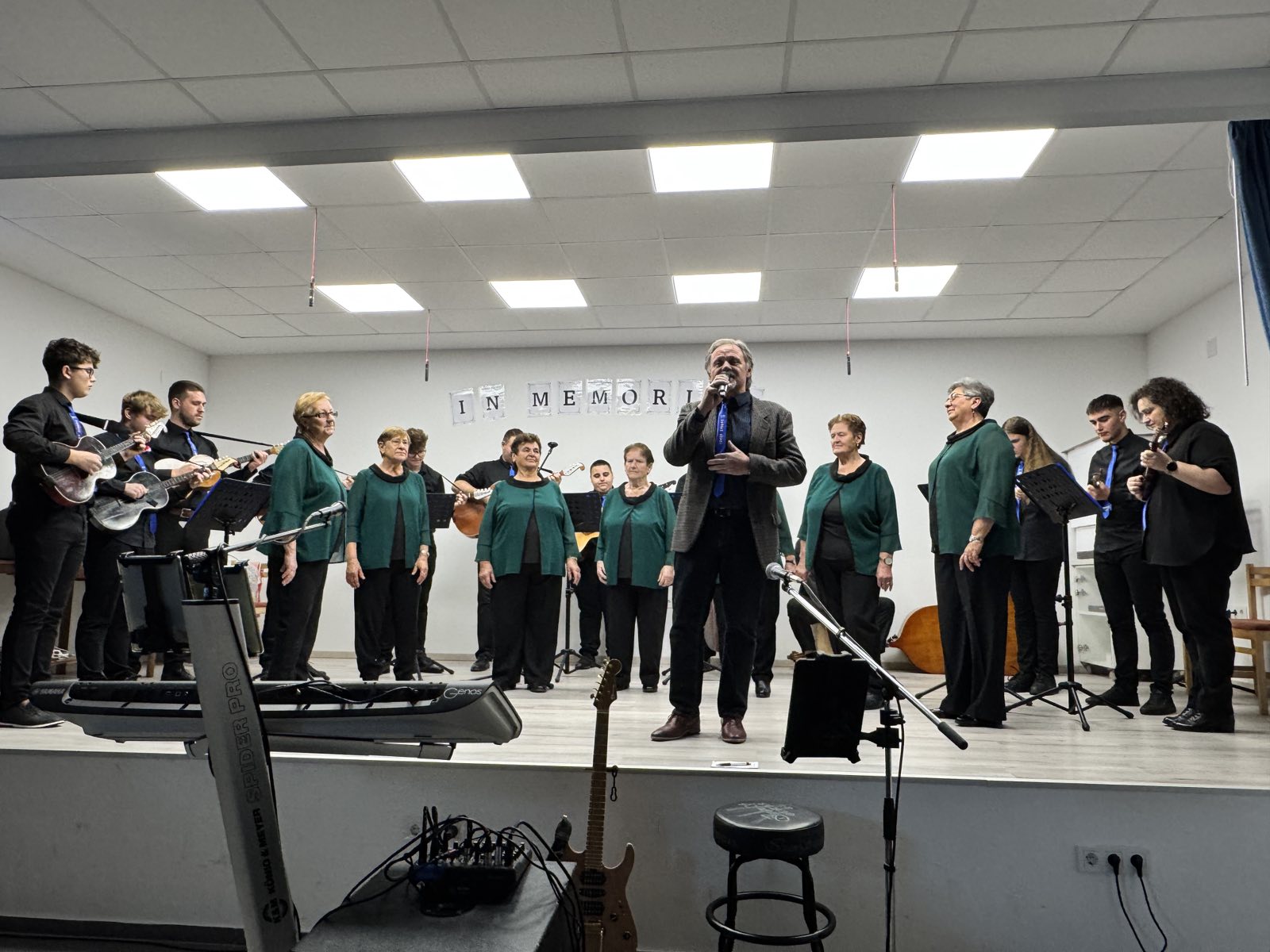 vino i gitare Sivica (9)