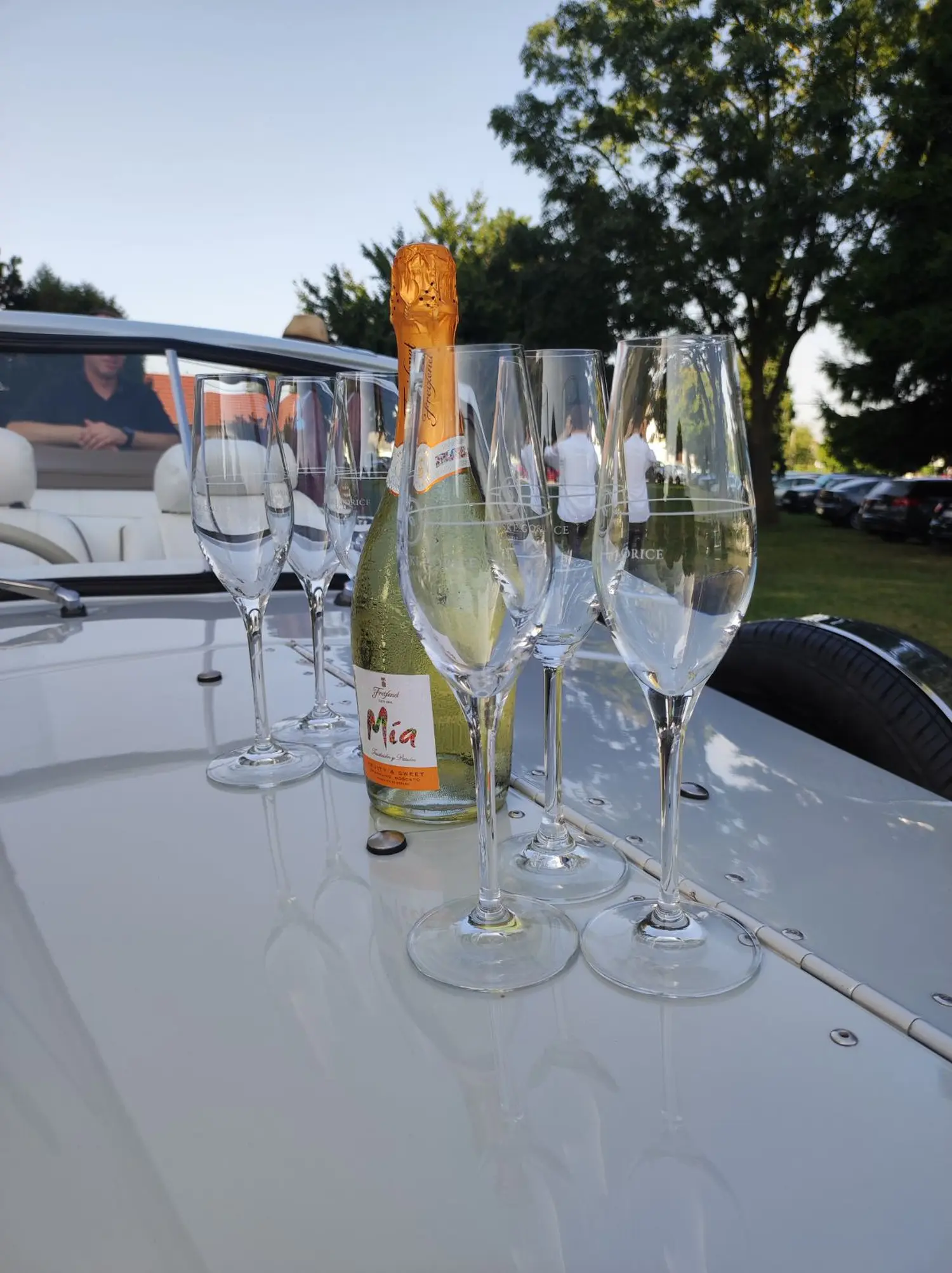 vjenčanje Alen Fuš (60)