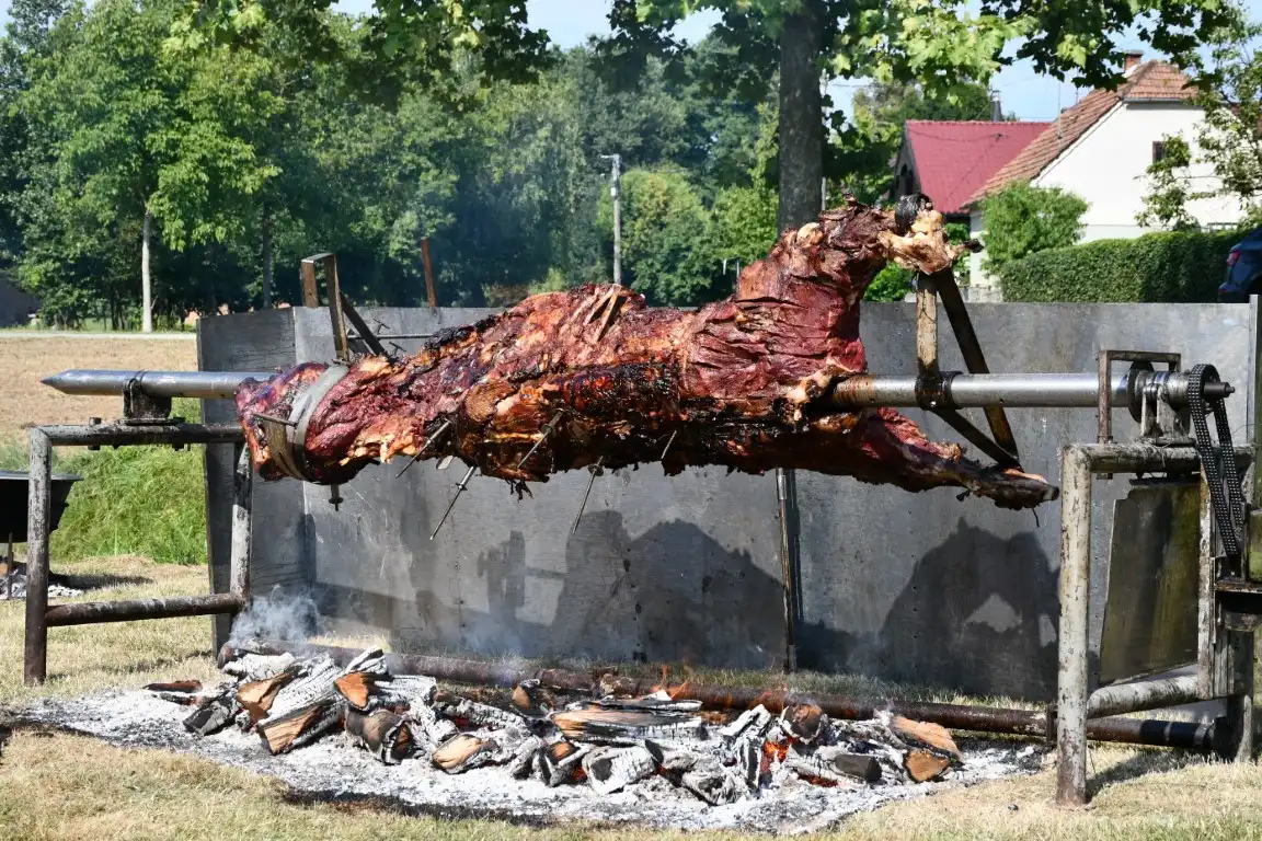 vol strukovec (1) (Medium)