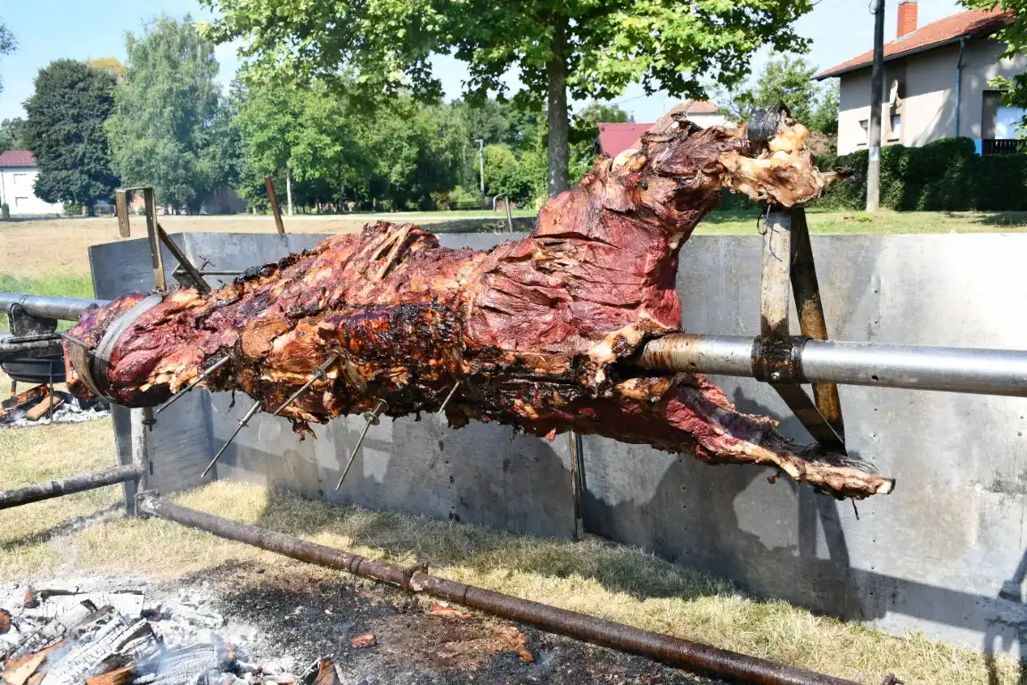 vol strukovec (12) (Medium)